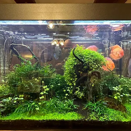 Waldhotel Zoebischhaus Ξενοδοχείο