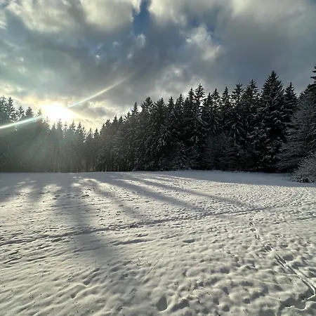 Waldhotel Zoebischhaus Ξενοδοχείο 2*