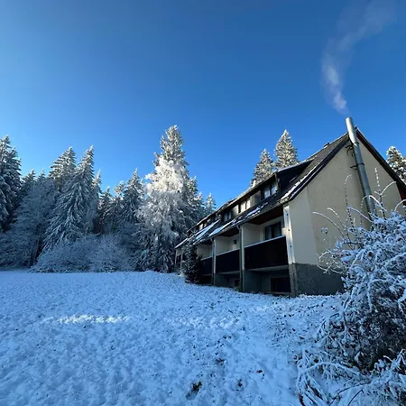 Waldhotel Zoebischhaus 호텔 2*