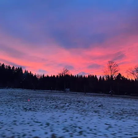 Ξενοδοχείο Waldhotel Zoebischhaus 2*