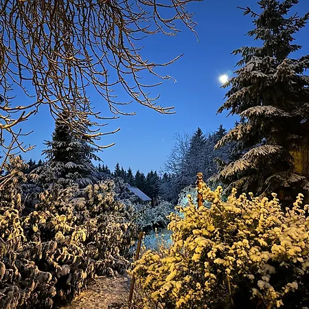 Waldhotel Zoebischhaus Ξενοδοχείο Bad Reiboldsgrün