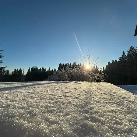 Waldhotel Zoebischhaus 2* Bad Reiboldsgrün