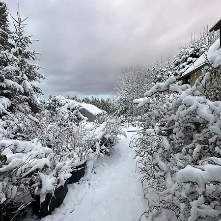 Waldhotel Zoebischhaus 호텔