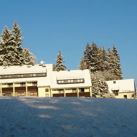 Waldhotel Zoebischhaus מלון