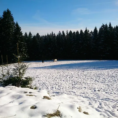 Waldhotel Zoebischhaus Bad Reiboldsgrün
