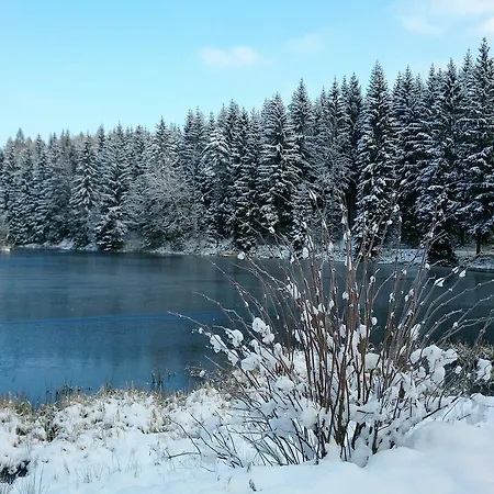 Waldhotel Zoebischhaus Ξενοδοχείο 2*