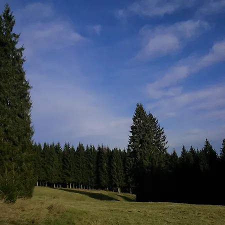 Ξενοδοχείο Waldhotel Zoebischhaus 2*