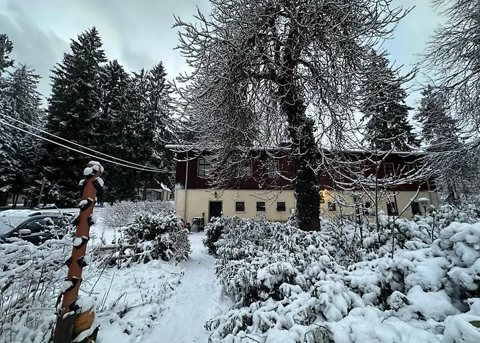 Hotel Waldhotel Zoebischhaus 2*