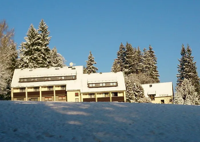 Waldhotel Zoebischhaus Hotel