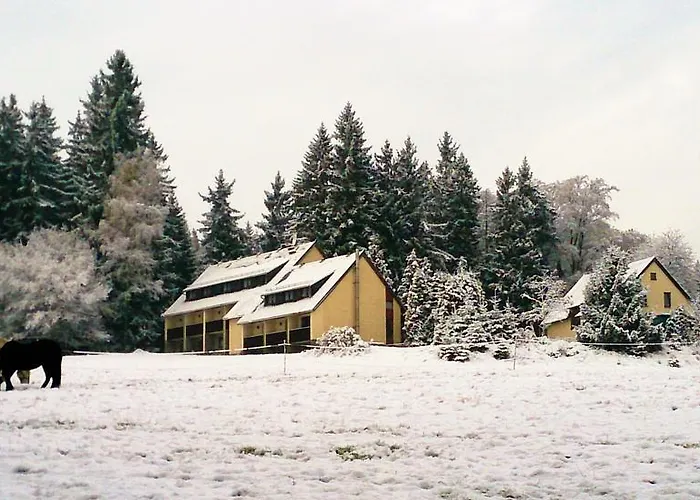 Hotel Waldhotel Zoebischhaus