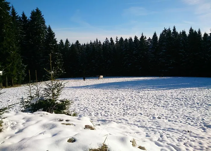 Waldhotel Zoebischhaus Bad Reiboldsgrün